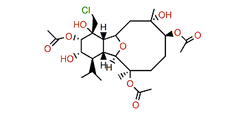 Klymollin J